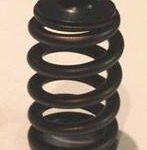 Kiggly Racing Steel Valve Spring Set