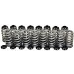 Kiggly Racing Race Only Beehive Valve Spring Set | Mitsubishi 4G63